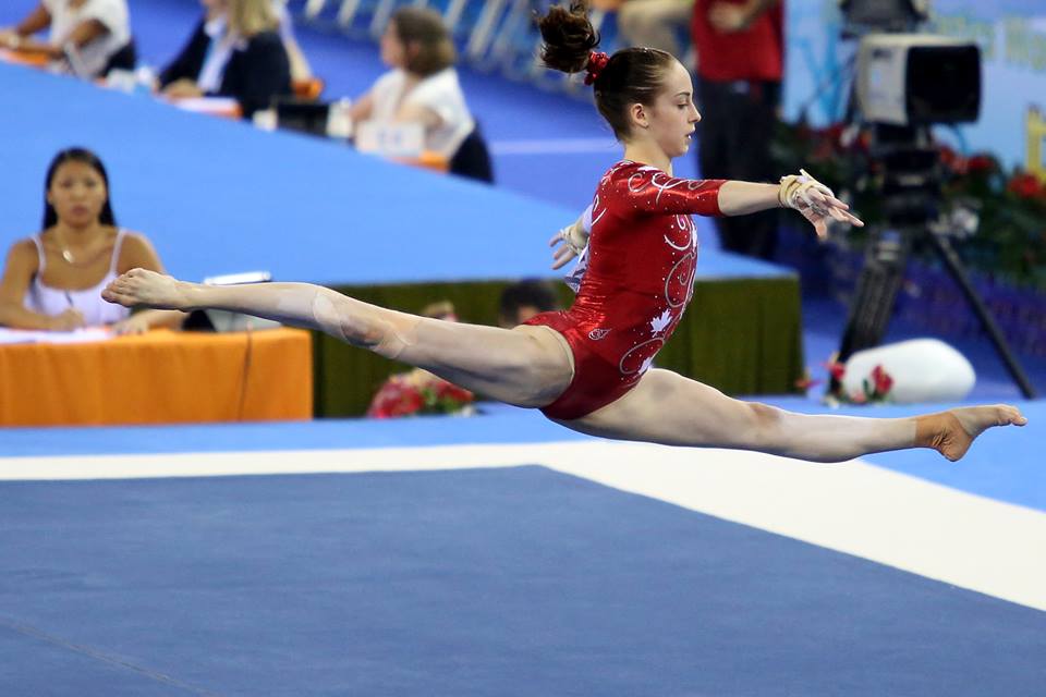 10721002_739467992790664_1965834564_n